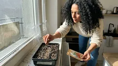 Tomaten im März aussäen: 5 Sorten – und worauf es bei der Anzucht wirklich ankommt