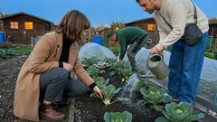 Kohl im Beet: Der kleine Pflegekniff, der Köpfe fester macht – und Fraß reduziert